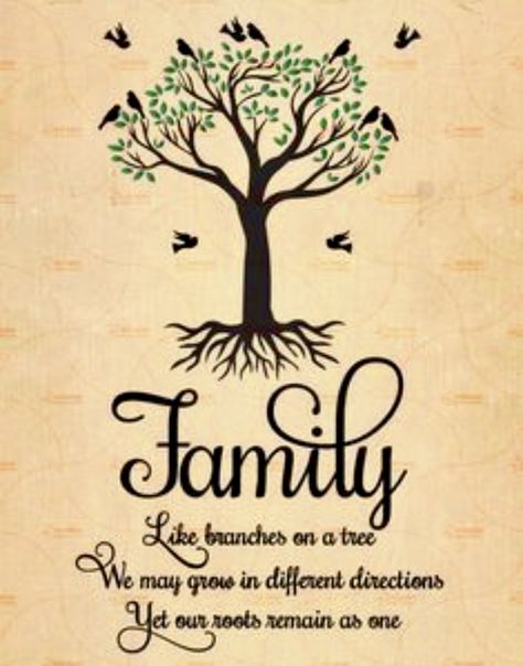 Family Tree Images, Family Tree Quotes, 21 Tattoo, Family Tree Craft, Oak Tree Tattoo, Quote Family, Mother Nature Tattoos, Family Quotes Inspirational, Family Tree Tattoo