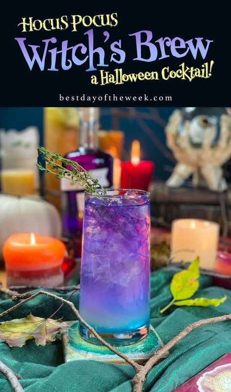 Hocus Pocus Witch’s Brew – Best Day of the Week Hocus Pocus Drinking Game, Halloween Themed Drinks, Halloween Recipes Drinks, Hocus Pocus Movie, Halloween Party Drinks, Hocus Pocus Party, Hocus Pocus Witches, Halloween Cocktail, Halloween Hocus Pocus