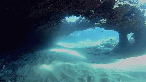 Ocean GIF - Ocean Waves Water GIFs Ocean Gif, Ocean Paradise, Water Aesthetic, Monterey Bay Aquarium, Ocean Floor, Mermaid Aesthetic, Egyptian Goddess, Blue Fish, Travel Places