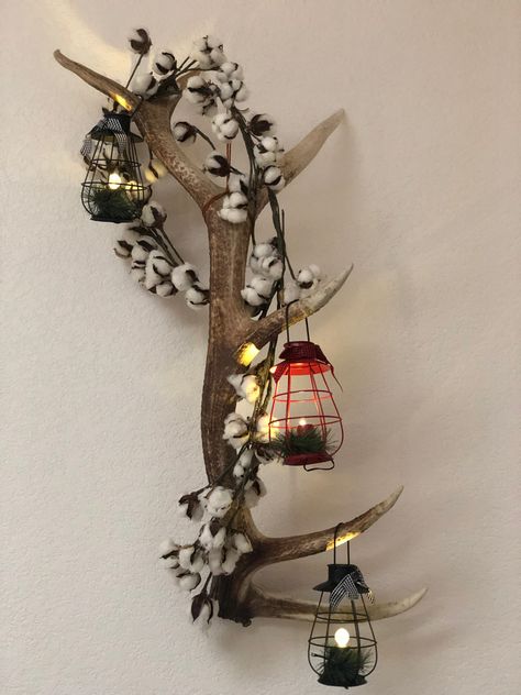 What better way to display that one shed elk horn! Elk Antler Christmas Decor, Antler Christmas Decor, Elk Horn, Antler Christmas, Antler Ideas, Shed Decor, Elk Antlers, Hunting Decor, Ranch Decor