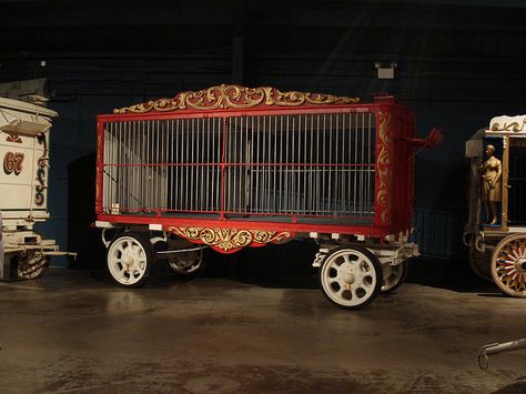 Red Circus Wagon Cage by valleyviolet, via Flickr- inspiration for our cribs Poptropica Aesthetic, Wagon Costume, Scary Circus, Circus Wagon, Images Terrifiantes, Circus Aesthetic, Creepy Carnival, Halloween Circus, Circus Train