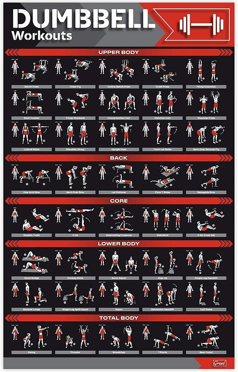 Dumbbell Workout Plan, Exercise Poster, Gym Posters, Posters Motivational, Dumbbell Workouts, Trening Sztuk Walki, Gym Workout Planner, Home Gym Exercises, Dumbell Workout