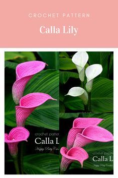 Crochet Pattern for a Calla Lily #crochetcallapattern #crochetcalla #crochetlily #CrochetFlowerPattern #flowercrochetpattern #crochetarcade #crochet #crochetpattern #crochettehniques #diy #crafts Affiliate Link Crochet Calla Lily Bouquet, French Beading, Kinetic Jewelry, Lilly Flower, Calla Lily Bouquet, Crochet Flowers Easy, Lily Pattern, Crochet Bouquet, Crocheted Flowers