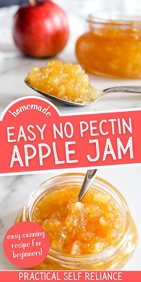 Preserve Apples, Apple Jam Recipe, Preserving Fruit, Jam Without Pectin, Canning Apples, Canning Jam Recipes, Easy Canning, Recipe For Beginners, Apple Jelly