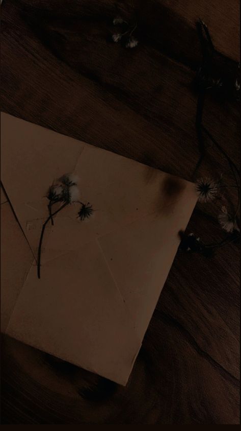 Letter Dark Academia, Written Letters Aesthetic, Handwritten Letter Aesthetic, Letter Aesthetic, Aesthetic Letters, Vintage Lettering, Brown Aesthetic, Letter Paper, Grunge Aesthetic