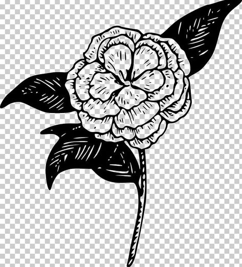 Begonia Drawing, Begonia Tattoo, Garden Tattoos, Stained Glass Church, Black And White Flower, Tattoo Black, Computer Icon, Us Images, White Flower