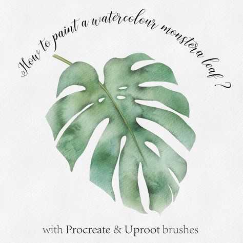 Tutorial learn watercolor on Procreate Marie Dricot Watercolor Brushes Photoshop, Watercolour Brushes, Watercolour Leaf, Watercolor Procreate, Painting Procreate, Make This, Procreate Tutorials, Watercolor Tutorial, Learn Watercolor