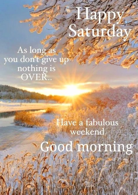 Saturday Morning Greetings, Saturday Morning Quotes, Saturday Blessings, Daily Wishes, Saturday Quotes, Good Morning Saturday, Flowers Quotes, Happy Weekend Quotes, Good Morning Happy Sunday