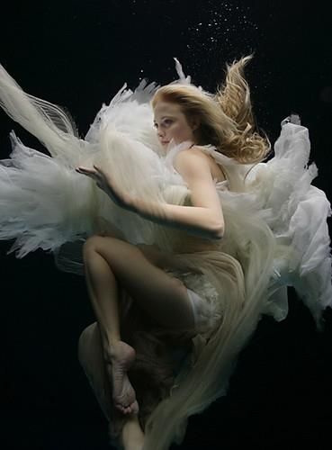 haughty Underwater Wedding, Underwater Art, Ange Demon, Underwater Photos, Water Photography, Water Art, Under Water, Underwater Photography, 인물 사진