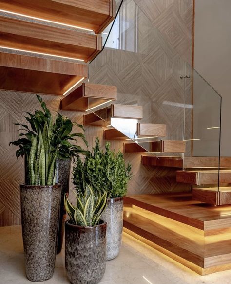 Under Stair Plant Design, Under Staircase Ideas Modern Garden, Under Open Stairs Ideas, Plants Under Stairs Staircases, Under Stair Garden Indoor, Stairs Design With Plants, Stair Wall Decorating Ideas, Small Garden Under Stairs, Under Staircase Ideas