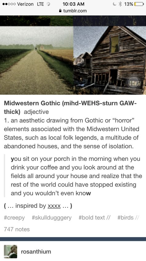 More Midwest Gothic Creepy Midwest Aesthetic, Midwest Gothic Tumblr, Missouri Gothic, Minnesota Gothic, Ohio Gothic, Midwest Horror, Midwestern Gothic Aesthetic, American Gothic Aesthetic, Midwest Gothic Aesthetic