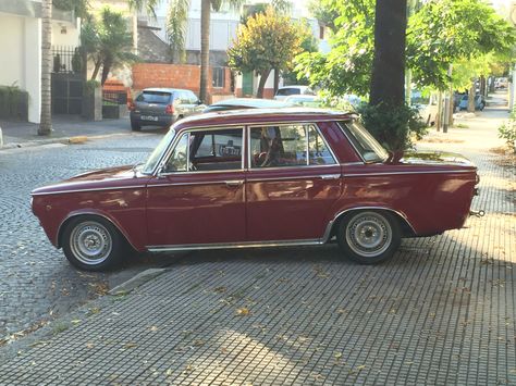 Fiat 1500 berlina corta Mid Size Sedan, Classic Race Cars, Fiat Abarth, Car Projects, Small Engine, Italian Cars, Race Car, Alfa Romeo, Cars And Motorcycles