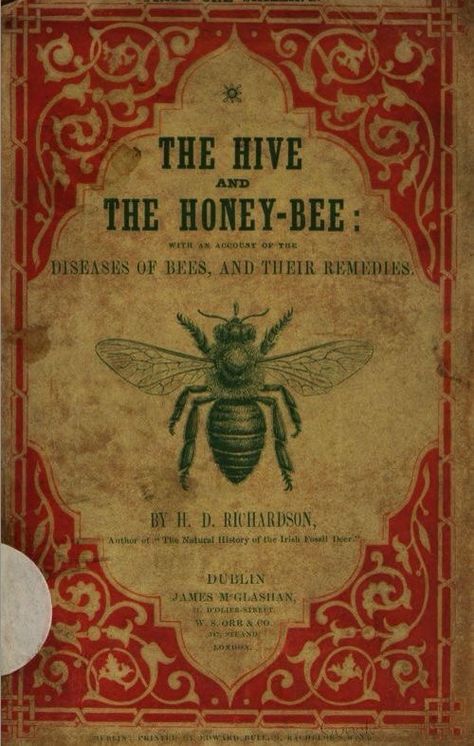 Bee Supplies, Bee Book, Buzz Bee, I Love Bees, Bee Skep, Vintage Bee, Bee Inspired, Vintage Book Covers, Bee Mine