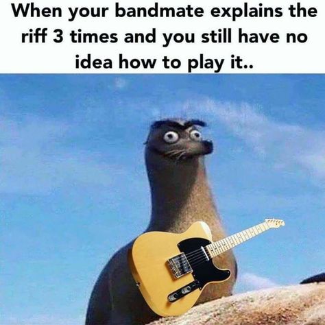 Guitar Memes Humor, Guitarist Quotes, Musician Memes, Weird Friends, Rock Star Outfit, Musician Humor, Band Jokes, Music Jokes, Guitar Chord Chart