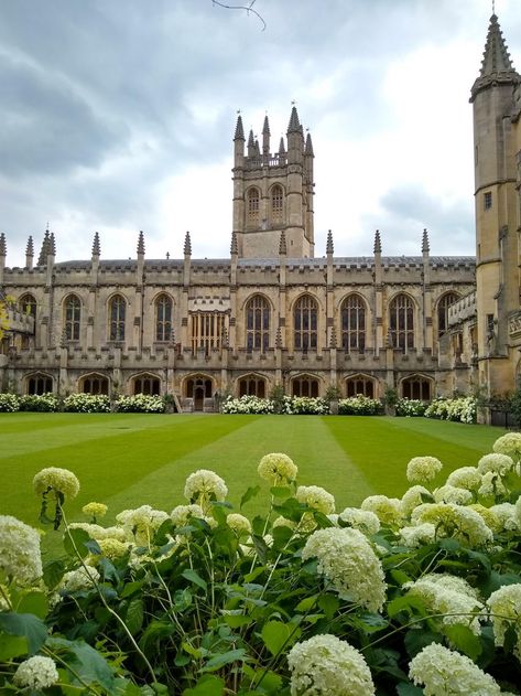 Honors at Oxford – Page 2 – Global Engagement Fellows Future Environment, Magdalen College, University Aesthetic, Life Manifestation, Landscape Reference, Oxford England, London Summer, New College, University Studying