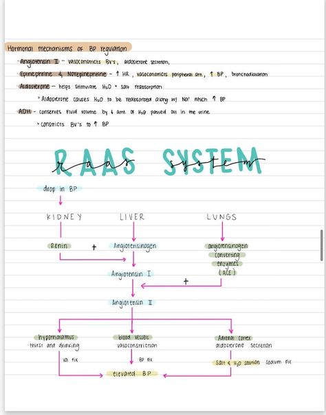 Pathophysiology Nursing Notes - Etsy Canada A&p Notes Nursing Schools, Med Surg Nursing Notes, Nutrition Nursing Notes, Anesthesiologist Notes, Critical Care Nursing Cheat Sheets, Pathophysiology Nursing Study Guides, Pathophysiology Nursing Notes, Pathophysiology Notes, Medsurg Nursing