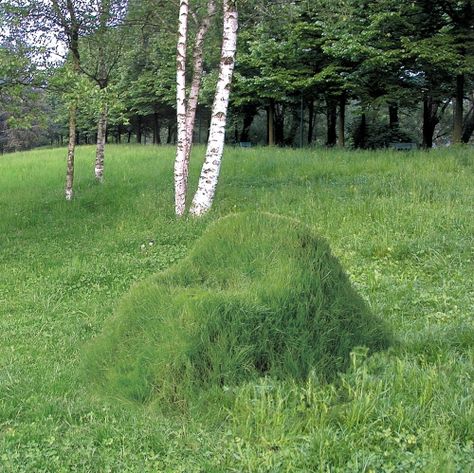 speciaal... Grass Chair, Lawn Furniture, Children's Garden, School Garden, Outdoor Learning, Outdoor Chair, Garden Landscape, Land Art, Green Grass