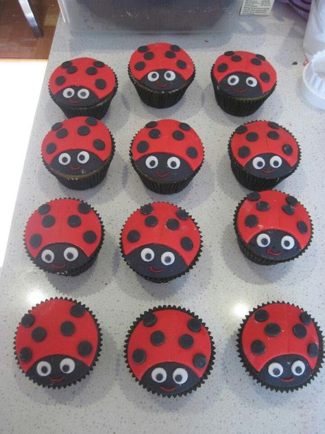 Baby ladybird cupcakes Ladybird Party Ideas, Ladybird Cupcakes, Ladybird Birthday, Anniversary Message For Husband, Phone Watch For Kids, Valentine's Cupcakes, Ladybug Cupcakes, 90th Birthday Cakes, Pink Ladybug