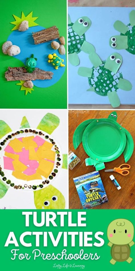 Turtle Activities for Preschoolers Turtle Games For Kids, Turtle Activities For Kids, Turtle Activities For Preschool, Prek Games, Turtle Crafts For Kids, Sea Turtle Craft, Turtle Activities, March Preschool, Habitat Activities