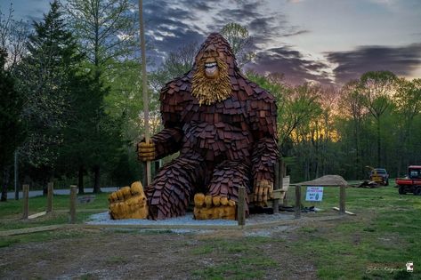 Indiana's Patoka Lake's New Resident is a 25-Foot Tall Sasquatch French Lick Indiana, Sasquatch Sightings, Bigfoot Pictures, French Lick, Staycation Ideas, Lake Village, 3 Bears, Eagle Creek, Wood Carver