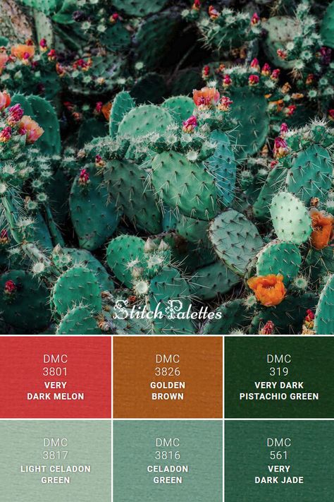 Cactus In Bloom, Jade Green Color, Color Schemes Colour Palettes, Green Palette, Celadon Green, Brand Color Palette, Green Colour Palette, Design Seeds, Color Palette Design