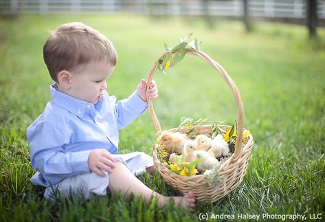 AndreaHalsey_Easter_02 Baby Chick Photoshoot, Toddler Easter Pictures, Baby Chicks Photography, Easter Poses, Easter Family Pictures, Baby Easter Pictures, Easter Baby Photos, Easter Minis, Easter Portraits