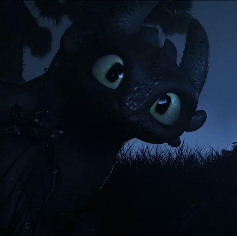 Toothless Pfps, Httyd Pfp, Toothless Funny, Httyd Wallpaper, Toothless And Hiccup, Httyd Toothless, Pfp Fanart, Funny Dragon, Dragon Icon