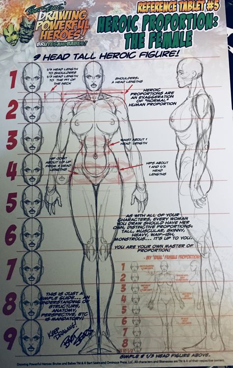 Figure Drawing Reference Poses Models Sketch, Bart Sears Anatomy, Bart Sears, Figure Drawing Tutorial, Human Anatomy Drawing, Body Drawing Tutorial, Character Model Sheet, Human Anatomy Art, Human Drawing