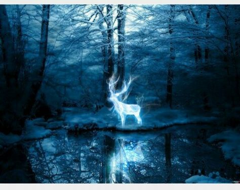 Stag Patronus Patronus Harry Potter, Harry Potter Expecto Patronum, Art Harry Potter, Daniel Radcliffe Harry Potter, Harry Potter Wall, Ravenclaw Aesthetic, Desktop Background Pictures, Potter Facts, Harry Potter Tumblr