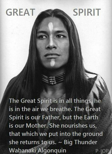 The Great Spirit, Native American Quotes Wisdom, Native American Facts, Indian Proverbs, Native Quotes, American Proverbs, American Indian Quotes, Native American Prayers, Native American Proverb