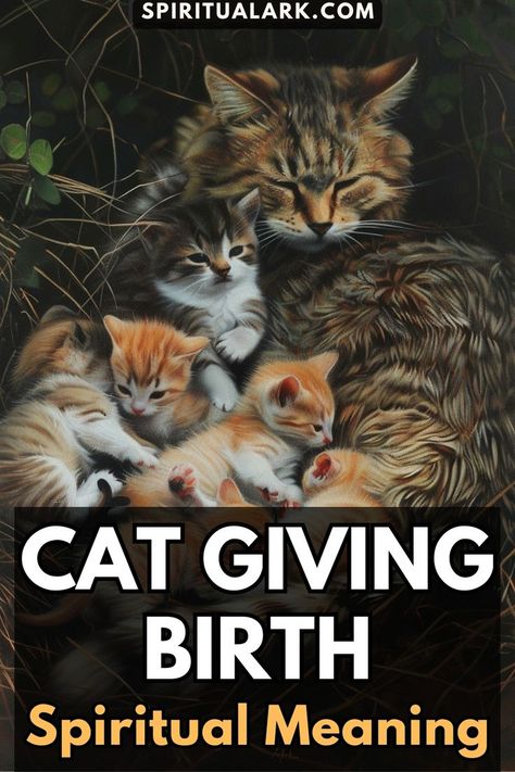 at the top of this post is the website source which is "SpiritualArk.com", at the center of this post is a photo of a mother cat with her kittens, and at the bottom of this post is the title that says, "cat giving birth, spiritual meaning" Cat Spirituality, Cat Symbolism, Cat Birth, Cat Having Kittens, Spirit Animal Meaning, Animal Meanings, Mean Cat, Animal Symbolism, Spiritual Truth