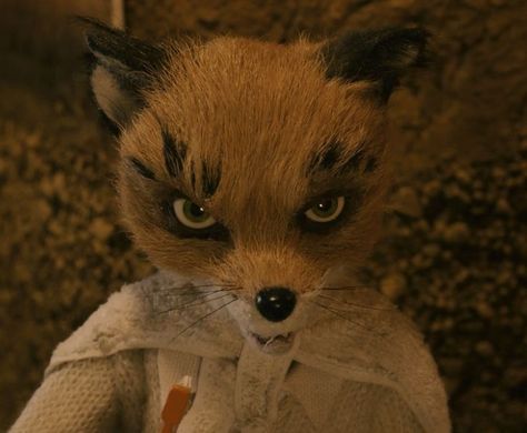 Mr Fox Movie, Fantastic Mr Fox Movie, Fantastic Fox, Mister Fantastic, Wes Anderson Movies, Wes Anderson Films, Fantastic Mr Fox, I Love Cinema, Mr Fox