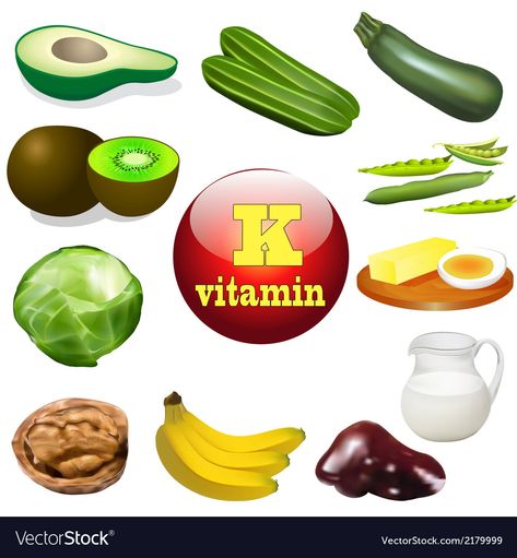 Vitamin K Royalty Free Vector Image - VectorStock Vitamin K Foods, Vitamin A Foods, Nutrition Certification, K Food, Holistic Nutritionist, Healthy Diet Tips, Animal Products, Nutrition Guide, 200 Calories