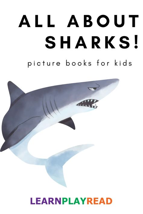 Clark The Shark, Picture Books For Kids, Fiction Books For Kids, Shark Activities, All About Sharks, Shark Facts, Starting Kindergarten, National Geographic Kids, Curious Kids