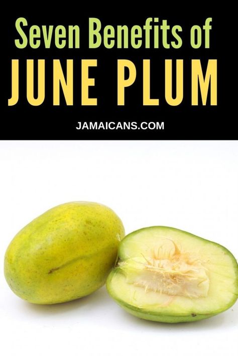 Jamaica’s juicy June plums are known by numerous names ranging from Golden Apple to Yellow Egg. The taste is a combination of sweet and tangy that many haven likened to cherries, mangoes, pineapples or star fruit, depending on the palate. Introduced to Jamaica in 1872, the fruit became a favorite for its flavor and its […] The post Seven Benefits of June Plum appeared first on Jamaicans.com. June Plum, Plum Benefits, Pineapple Benefits, Apple Benefits, Star Fruit, Healthy Life Hacks, Sources Of Vitamin A, Sore Eyes, Natural Antibiotics