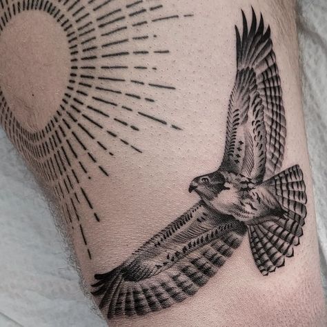 Soaring Hawk Tattoo, Hawk Line Tattoo, Dainty Hawk Tattoo, Perched Hawk Tattoo, Hawk Tattoo Forearm, Hawk Arm Tattoo, California Condor Tattoo, Harris Hawk Tattoo, Western Bird Tattoo