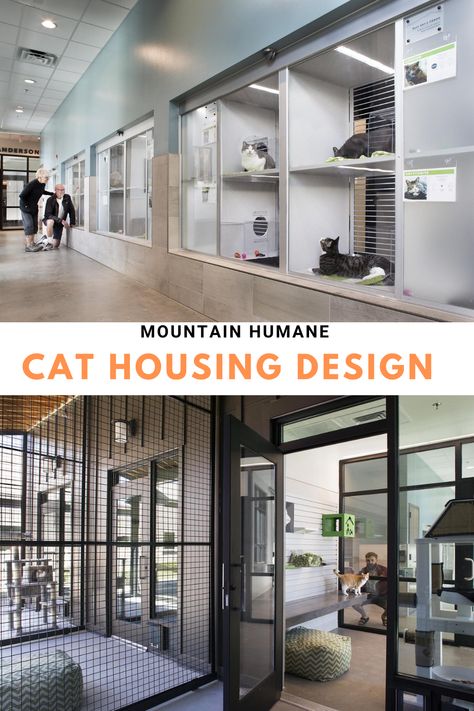 Breeding Cattery Design, Cat Boarding Facility, Cat Rescue Room, Cat Hotel Design Ideas, Cat Boarding Ideas, Luxury Cat Room, Cat Hotel Design, Cat Hotel Ideas, Pet Hotel Design