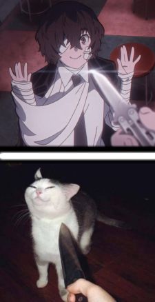 Anime With Knife, Cat Surrounded By Knives, Dazai With Cat, Cat With Knife Drawing, Cat Dazai, Bsd Cursed, Knife Pictures, Cat Knife, Knife Cat