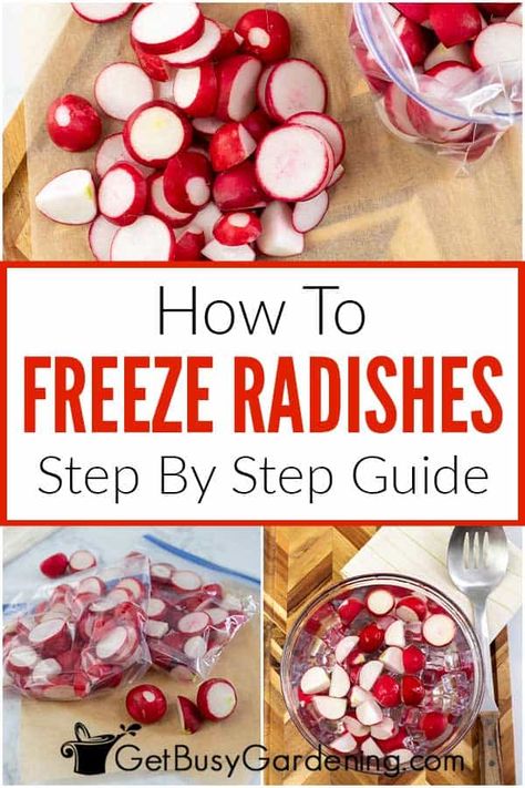 Freeze Radishes, How To Store Radishes, Freezing Veggies, Radish Chips, Preserving Vegetables, Freezing Vegetables, Food Preserving, Freezing Food, Preserving Herbs