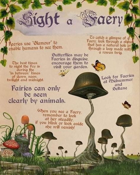 Fairy Offering Ideas, Fairy Offerings, Fae Mythology, Fairy Facts, Fairy Sightings, Beltane Aesthetic, Fairies Facts, Faery Magick, Fae Witch