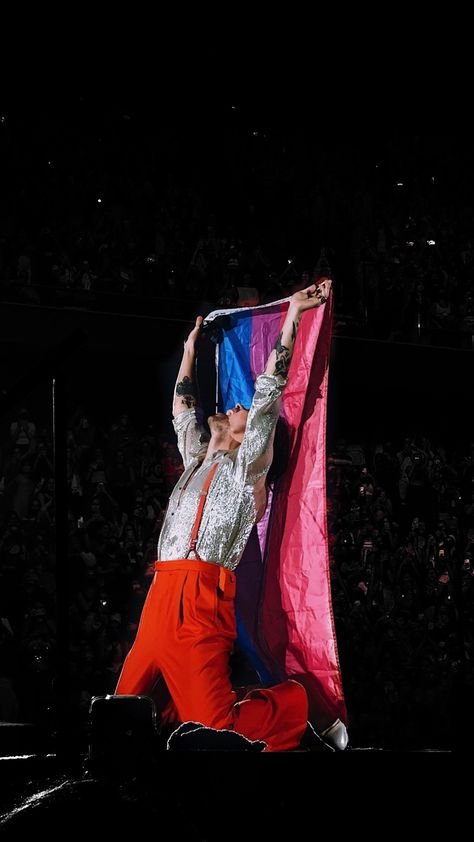 Bisexual Pride Quotes, Harry Styles House, Bi Flag, Harry Styles Concert, Lgbt Flag, Flag Photo, Rainbow Light, Harry Styles Wallpaper, Harry Styles Photos