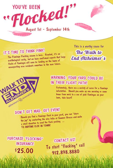 Great fundrasing idea for my troop as we live in a small area/gated community. Community Fundraiser Ideas, Flocking Fundraiser, Flamingo Fundraiser, Fundraisers Ideas, You've Been Flocked, Sports Fundraisers, Pta Fundraising, Easy Fundraisers, Fun Fundraisers