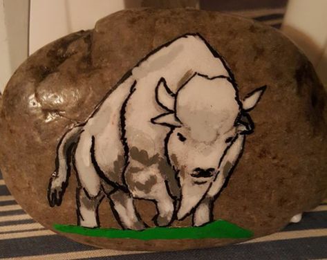 Buffalo painted rock Medicine Ceremony, Native Medicine, Buffalo Painting, Goat Barn, Paint Rocks, Rock Ideas, Face Mug, Paint Rock, Best Rock