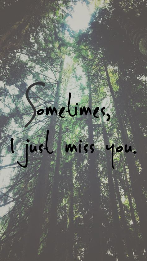 Sometimes I just miss you. I miss laying in your arms. I miss your laugh. Your smell. Sometimes I just really really miss you. Your Smell, I Just Miss You, In Your Arms, Know Thyself, I Miss You, I Missed, Miss You, Feelings, Quotes