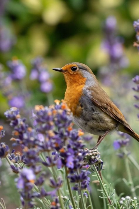 Creating a Wildlife-Friendly Garden is a beautiful and eco-friendly choice for any outdoor space! 🐦🌿 Designed with native plants and eco-friendly features, these gardens blend nature with environmental care. Easy to cultivate and bursting with life, Creating a Wildlife-Friendly Garden supports local wildlife. Enjoy this vibrant twist on gardening today! 🌼✨ #WildlifeFriendlyGarden #SustainableGardening #EcoFriendlyHabitat #GreenLiving Garden Supports, Garden Uk, Wildlife Garden, Sensory Garden, Wildlife Gardening, Sustainable Garden, Gardening Ideas, Native Plants, Green Living