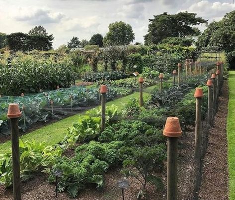 Vege Patch, Acre Garden, Garden Layouts, Veg Patch, Dream Farm, Wildlife Garden, Backyard Buildings, Garden Inspo, Potager Garden