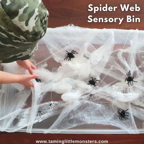 Easy Spider Web Sensory Bin for Kids - Taming Little Monsters Halloween Sensory Activities, Halloween Science Activities, Sensory Activities For Kids, Halloween Math Worksheets, The Very Busy Spider, Halloween Activities For Toddlers, Fun Halloween Activities, Halloween Sensory, Halloween Science