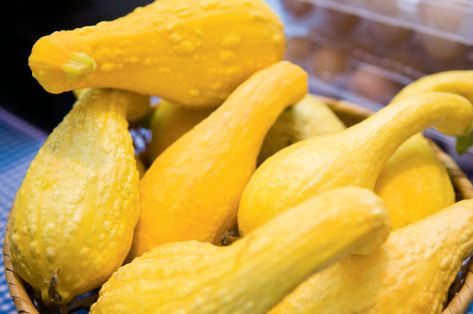 Freezing Squash, Yellow Crookneck Squash, Winter Squash Varieties, Crookneck Squash, Growing Squash, Organic Gardening Pest Control, Squash Varieties, Frozen Summer, Organic Vegetable Garden