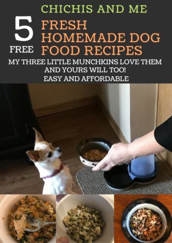 Human Grade Dog Food, Dog Treats Homemade Easy, Dog Biscuit Recipes, Dog Needs, Healthy Dog Food Recipes, Human Food, Dog Cookies, Dog Biscuits, Dog Recipes