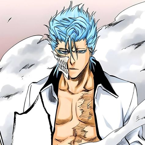 Grimmjow Icon, Grimmjow Jaegerjaquez, Byakuya Kuchiki, Toshiro Hitsugaya, Bleach Anime Art, Ju Jitsu, Bleach Characters, Bleach Art, Bleach (anime)